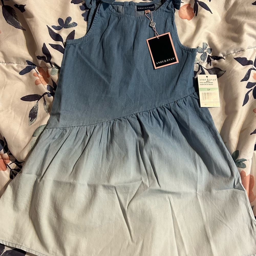 NWT girls size 5 dress